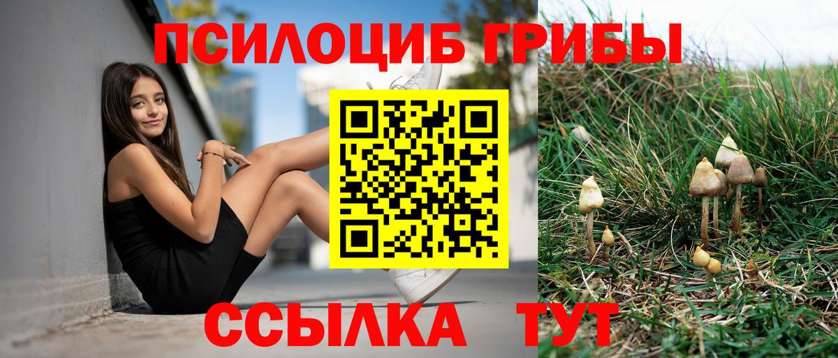 Галлюциногенные грибы мухоморы Калининград