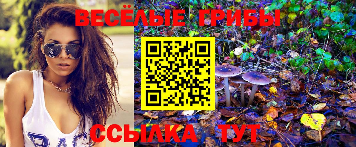 Калининград  Галлюциногенные грибы Psilocybine cubensis  Вход с VPN 